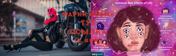 стаф Алексеевка