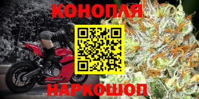 прущие крисы Краснодар