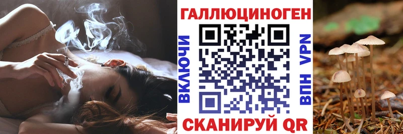 что такое   Изобильный  Псилоцибиновые грибы Magic Shrooms 